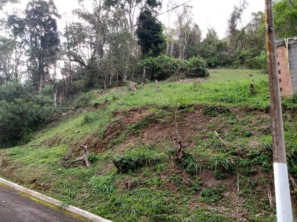 Terreno à venda, 450 - Foto 3