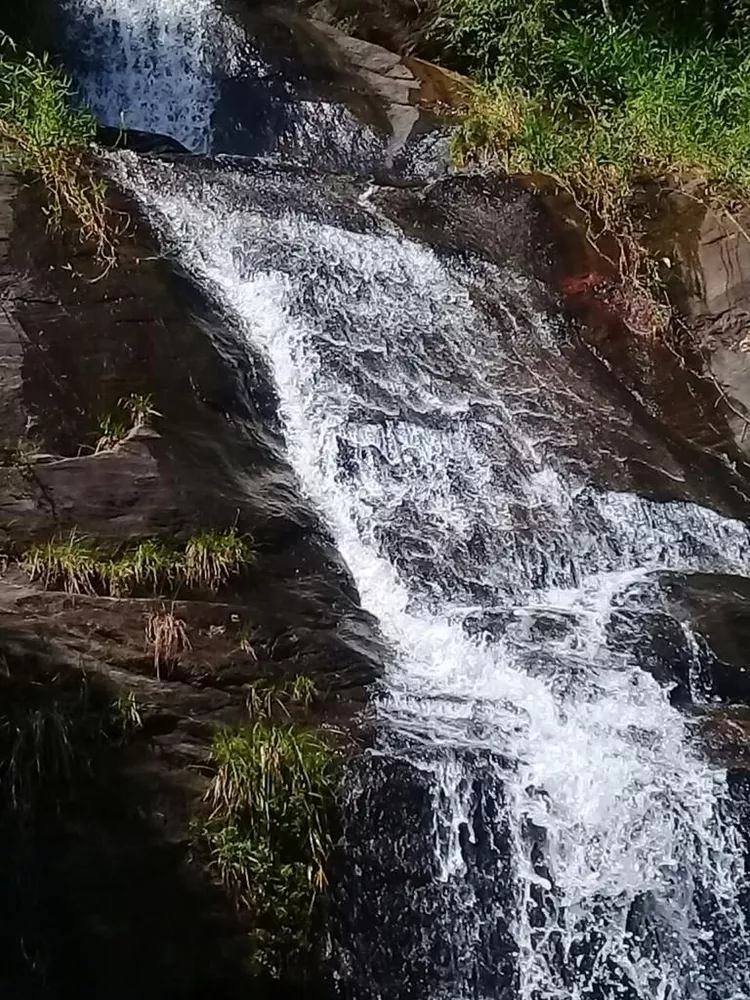 Sítio, 2 quartos, 4 hectares - Foto 16