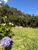Sítio, 2 quartos, 4 hectares - Foto 1