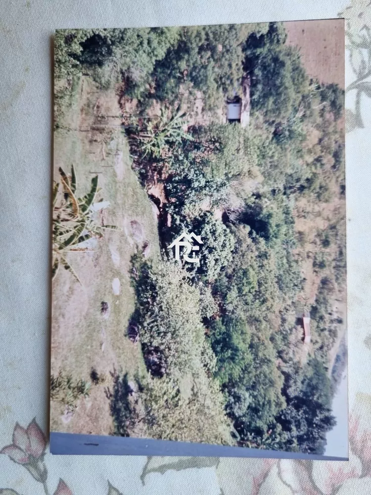 Casa, 5 quartos, 190 m² - Foto 45