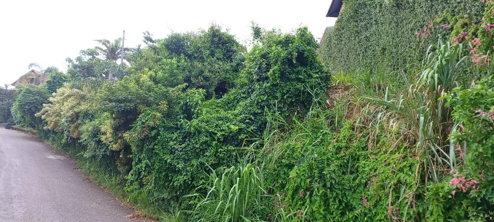 Terreno, 320 m² - Foto 9