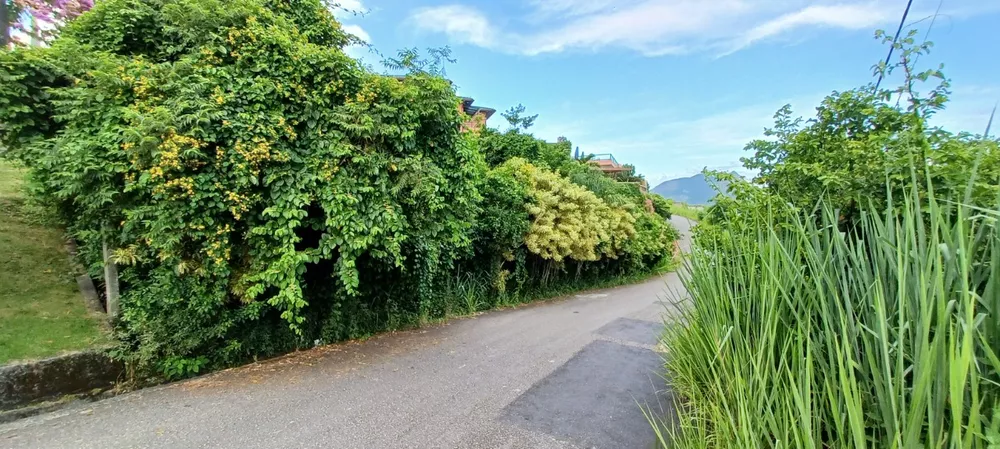 Terreno, 320 m² - Foto 7