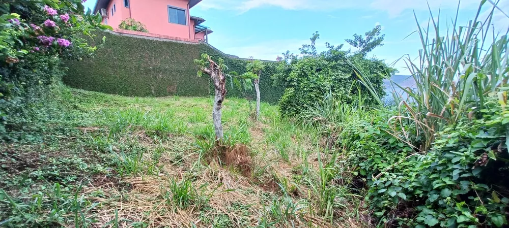 Terreno, 320 m² - Foto 4