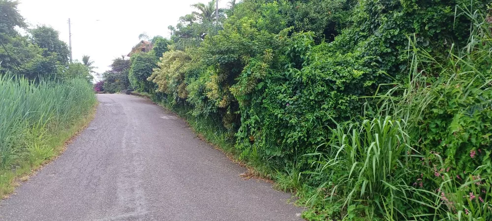 Terreno, 320 m² - Foto 10