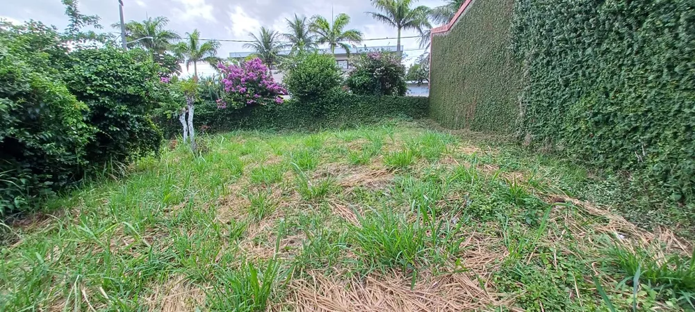 Terreno, 320 m² - Foto 5