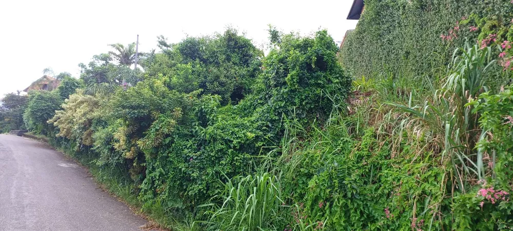 Terreno, 320 m² - Foto 8