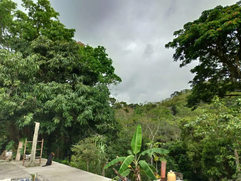 Sítio, 6 quartos, 1 hectares - Foto 6