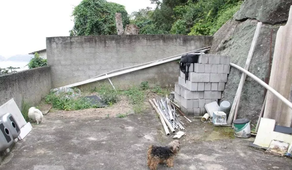 Casa, 4 quartos, 239 m² - Foto 22