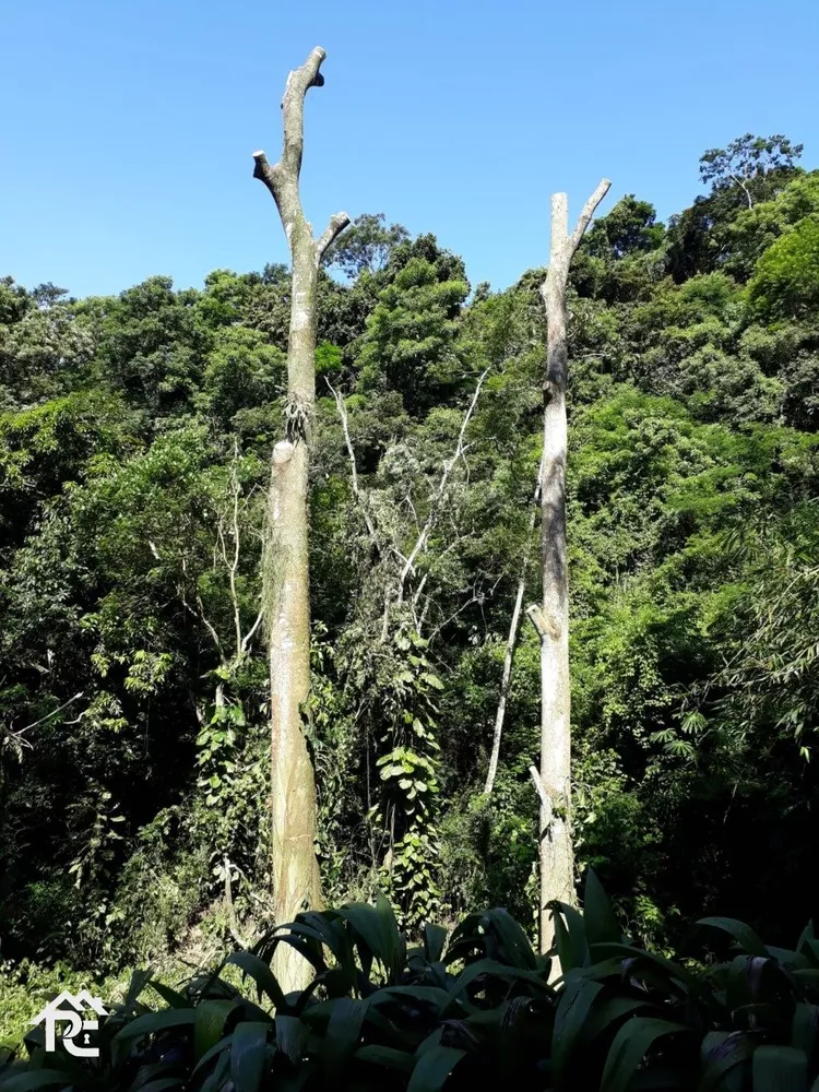 Terreno à venda, 7198 - Foto 2