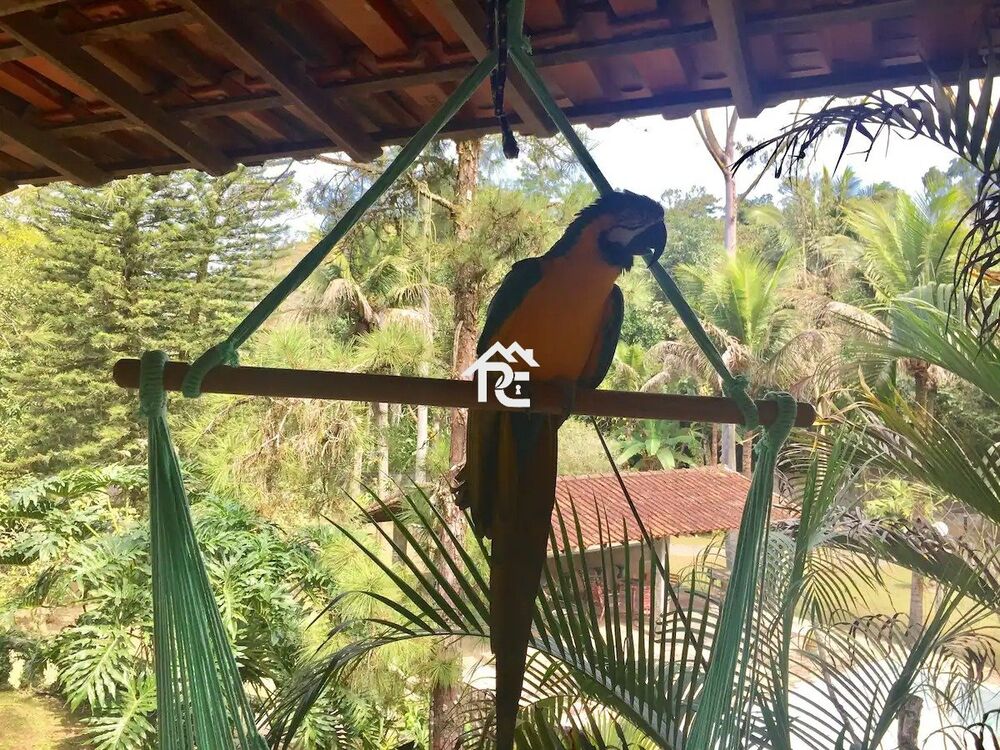 Sítio, 8 quartos, 4000 m² - Foto 19