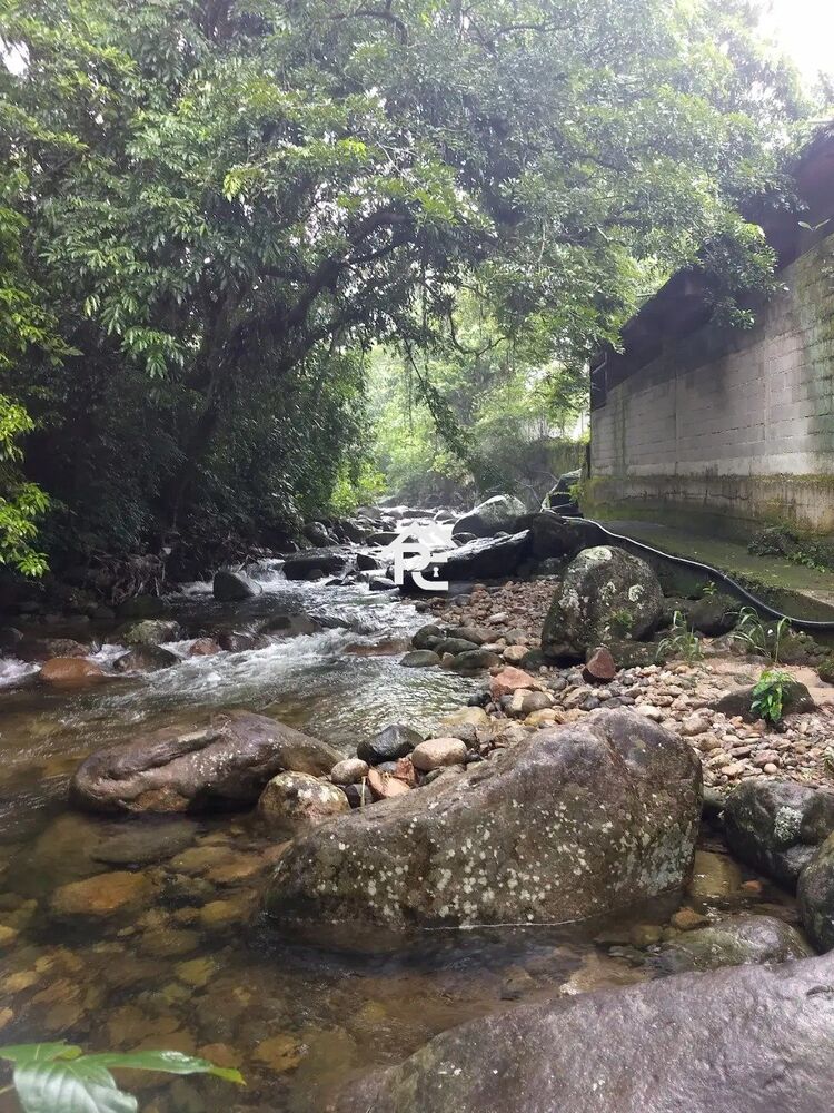 Sítio, 8 quartos, 4000 m² - Foto 22