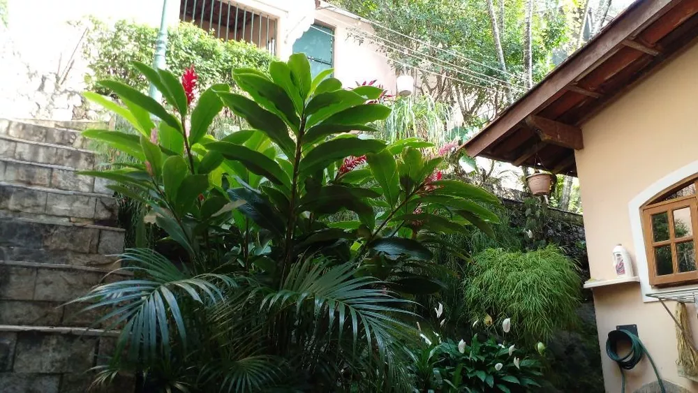 Casa, 5 quartos, 500 m² - Foto 34