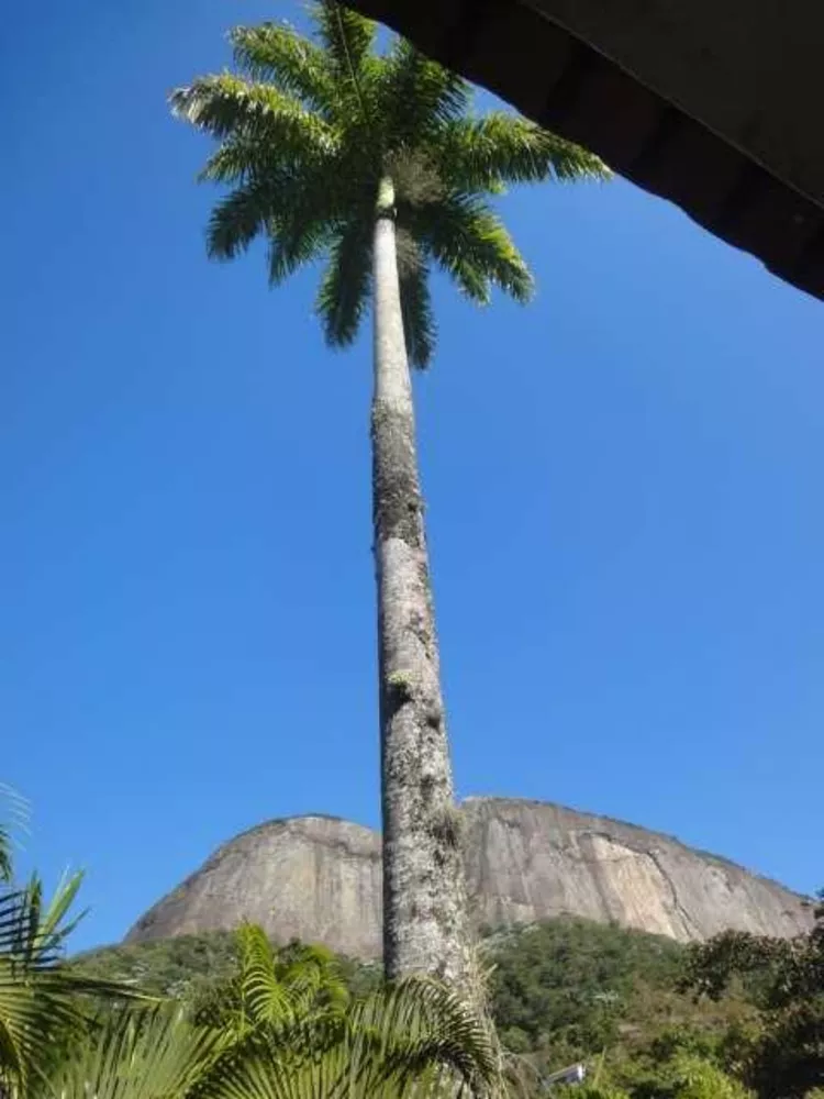 Casa, 5 quartos, 657 m² - Foto 31