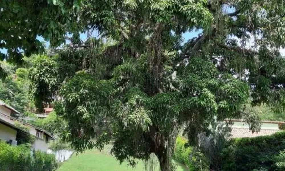 Casa de Condomínio, 5 quartos - Foto 32