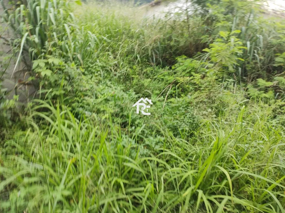 Terreno, 480 m² - Foto 7