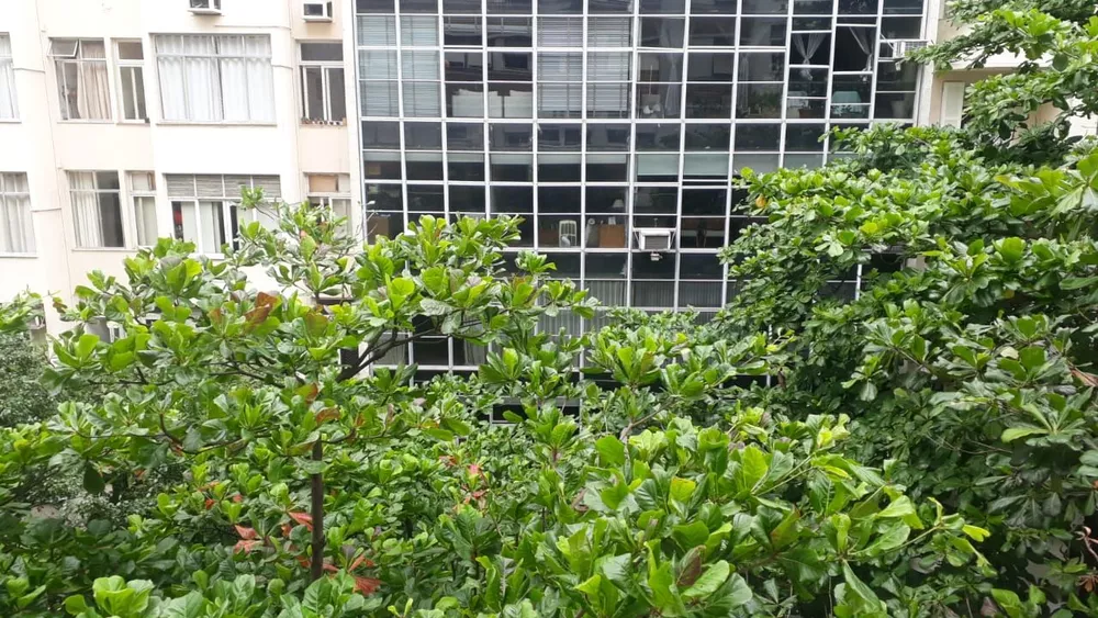 Apartamento, 3 quartos, 122 m² - Foto 8