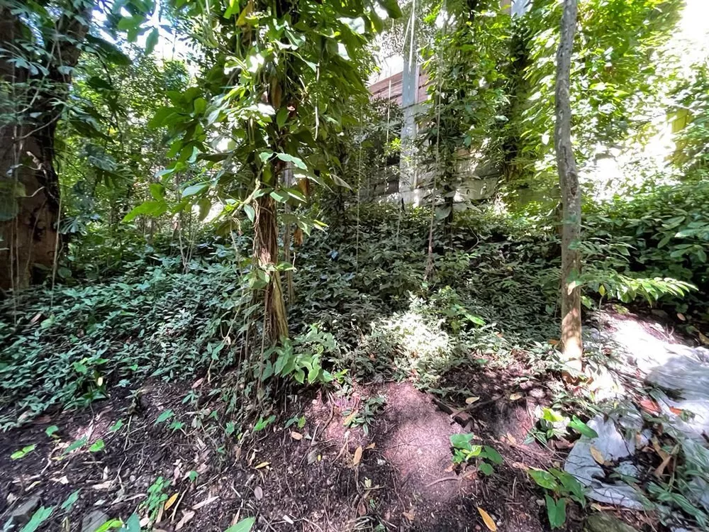 Terreno, 4483 m² - Foto 11