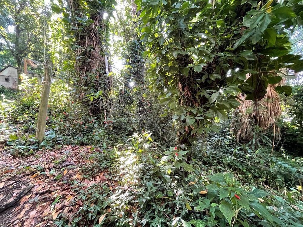 Terreno, 4483 m² - Foto 3