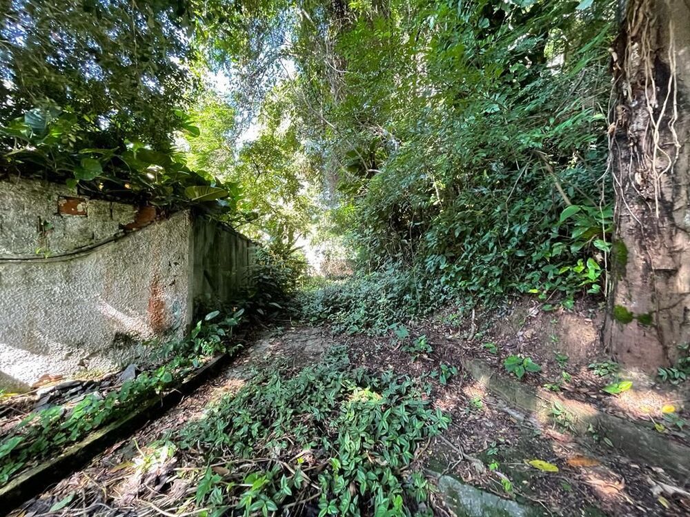 Terreno, 4483 m² - Foto 6