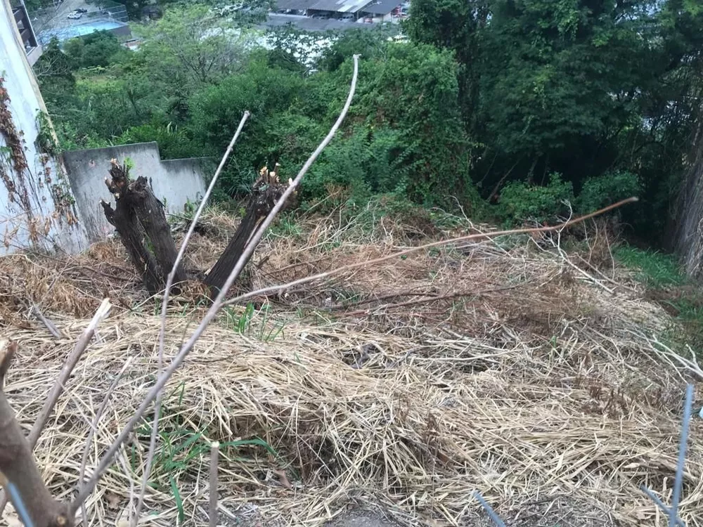 Terreno à venda, 763 - Foto 4