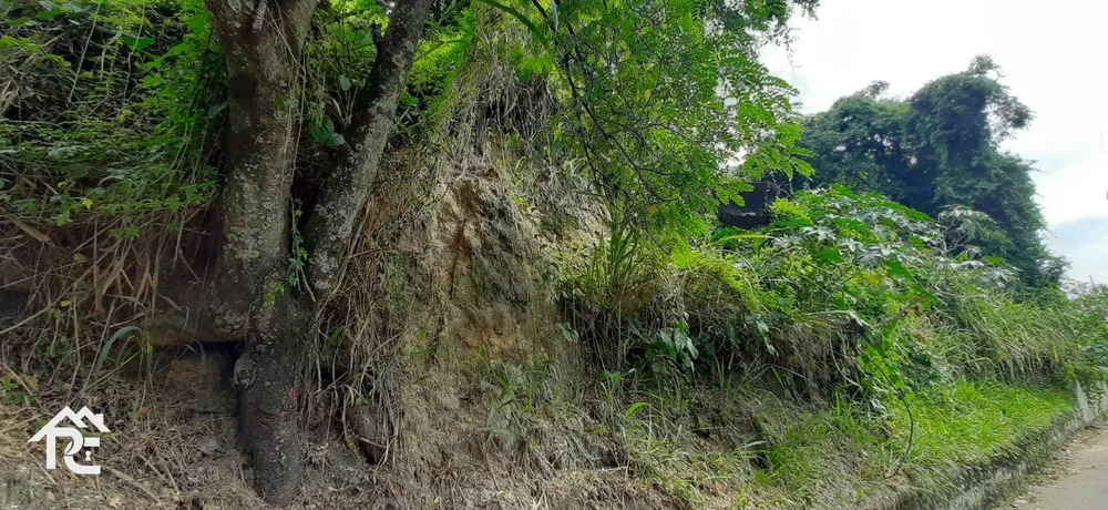 Terreno, 2850 m² - Foto 2