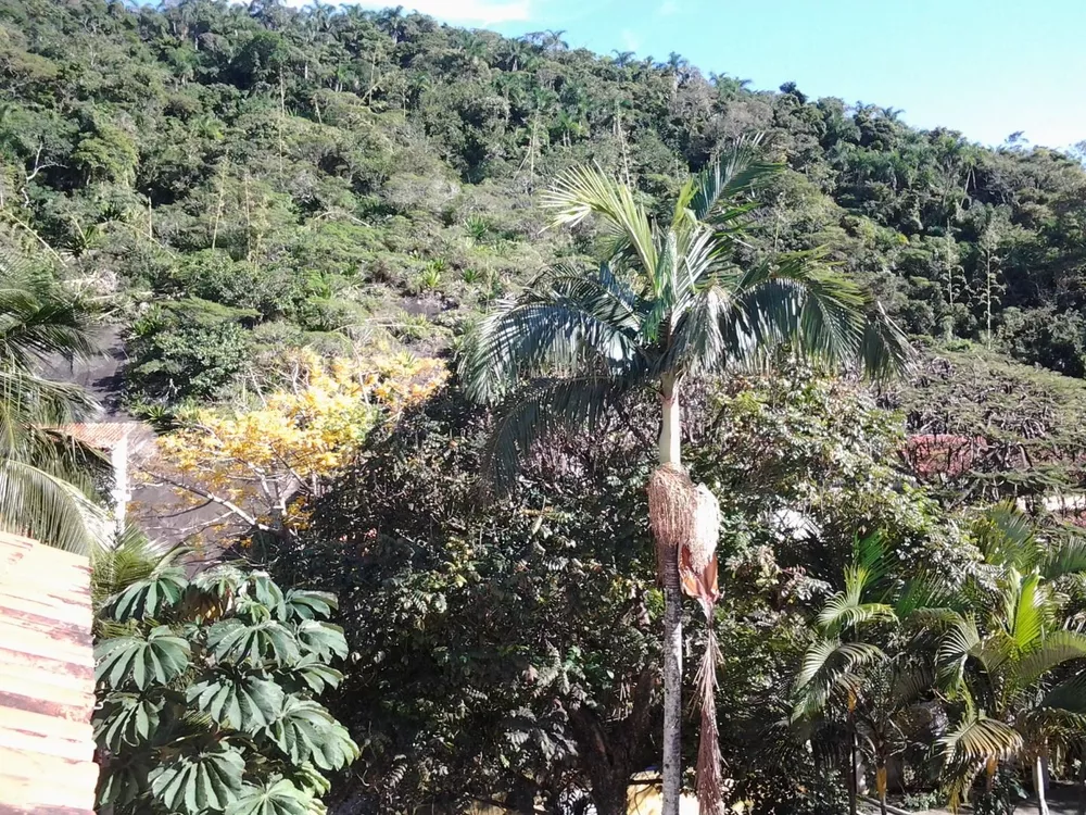 Casa, 4 quartos, 150 m² - Foto 28