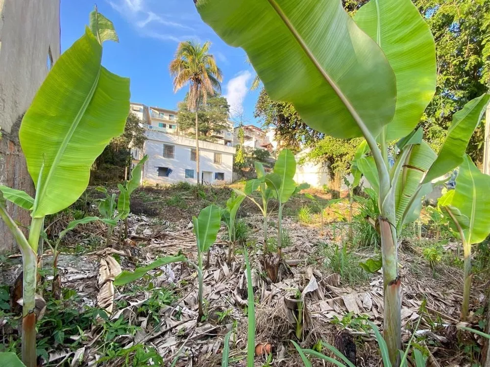 Terreno, 1620 m² - Foto 14