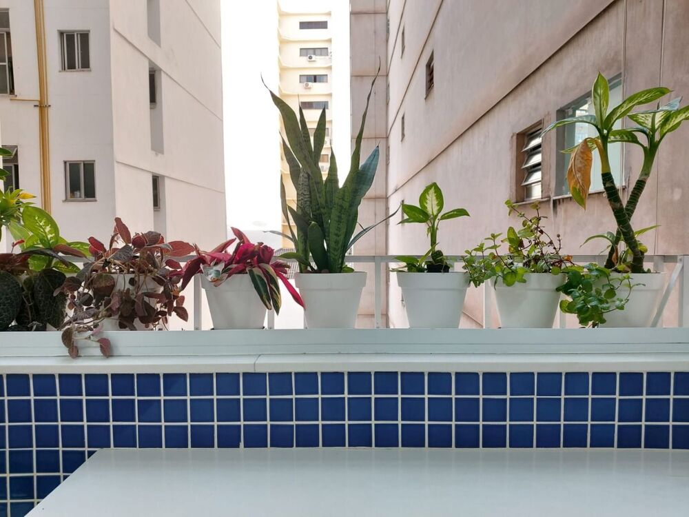 Apartamento, 4 quartos, 220 m² - Foto 44
