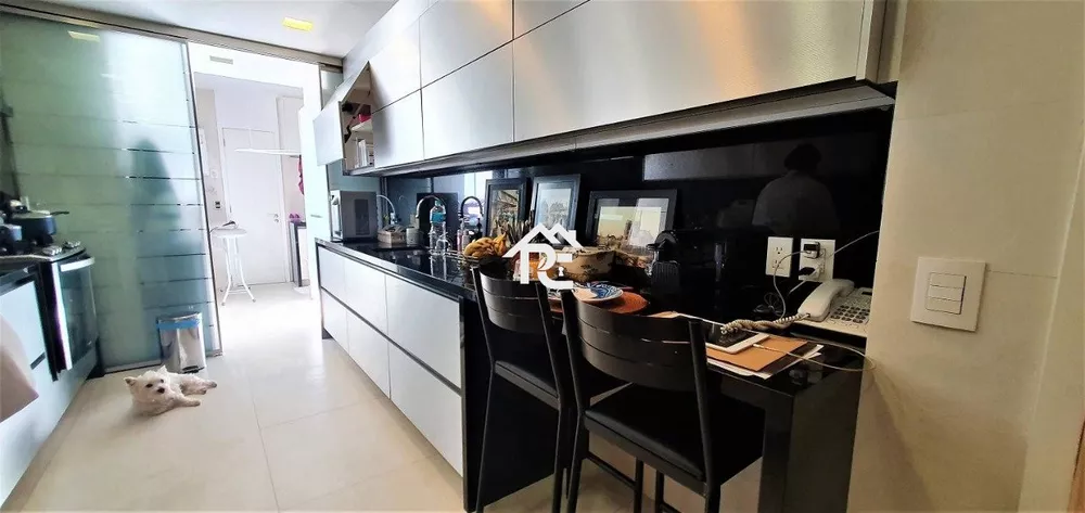 Apartamento, 4 quartos, 300 m² - Foto 11