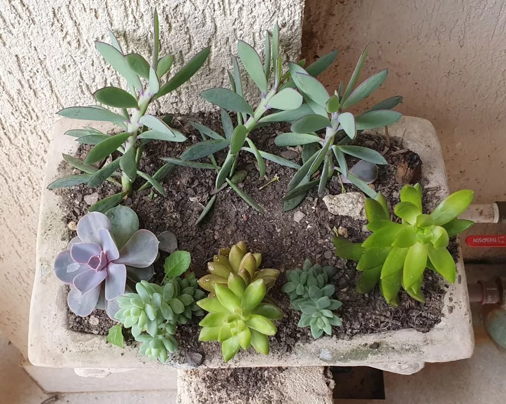 Casa, 4 quartos, 240 m² - Foto 53