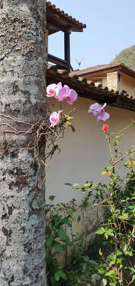 Casa, 4 quartos, 240 m² - Foto 38