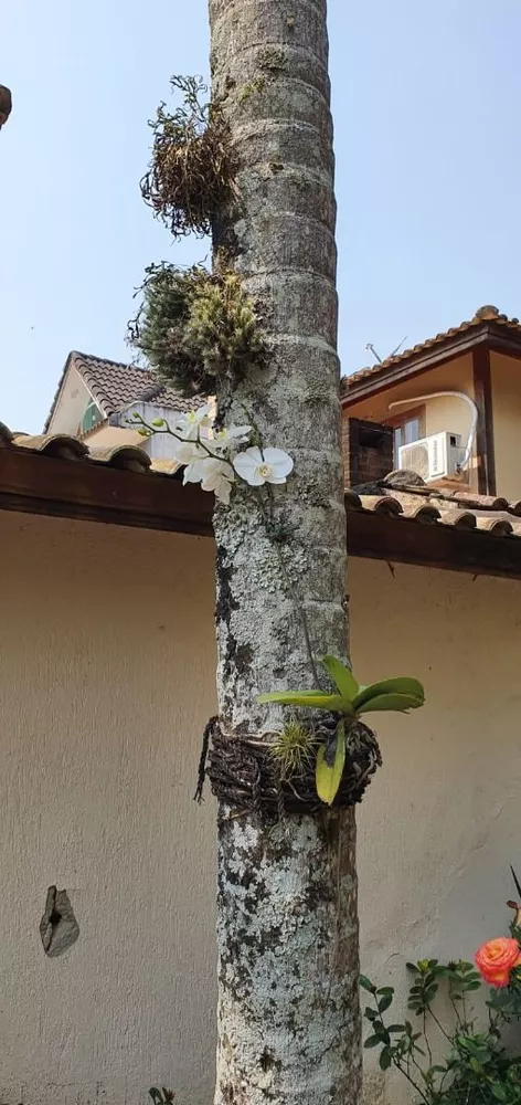 Casa, 4 quartos, 240 m² - Foto 39