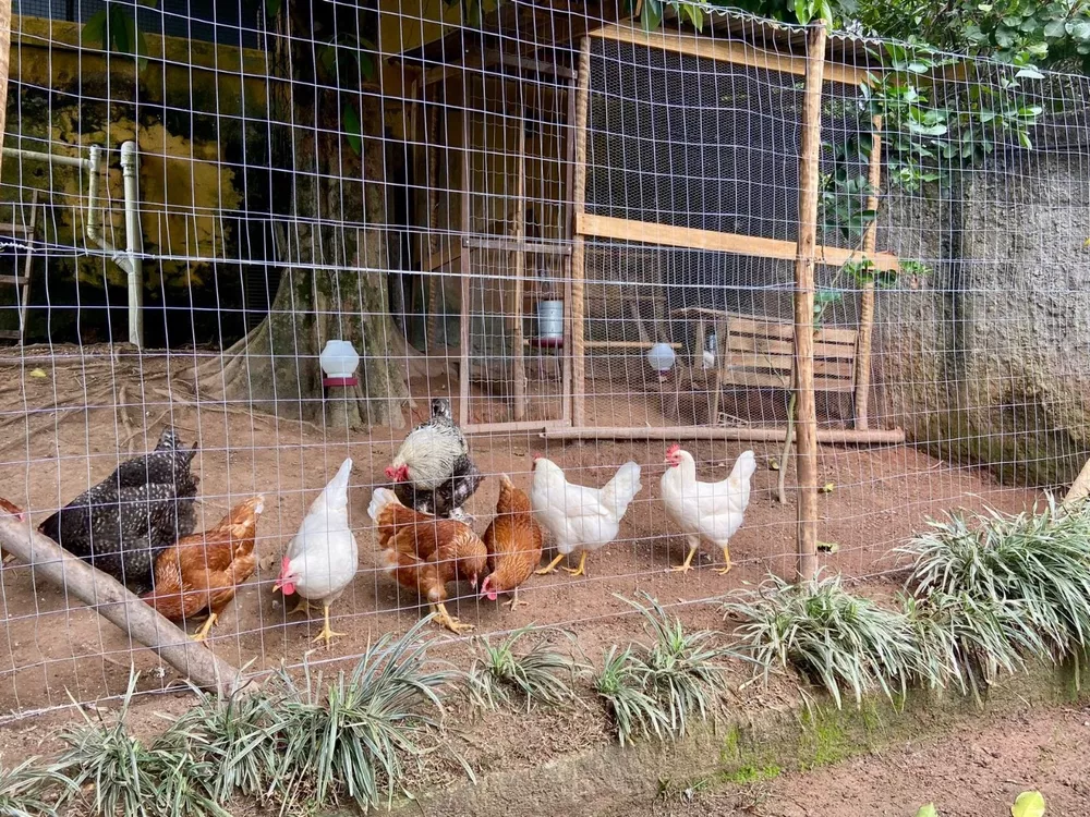 Casa, 3 quartos, 185 m² - Foto 50