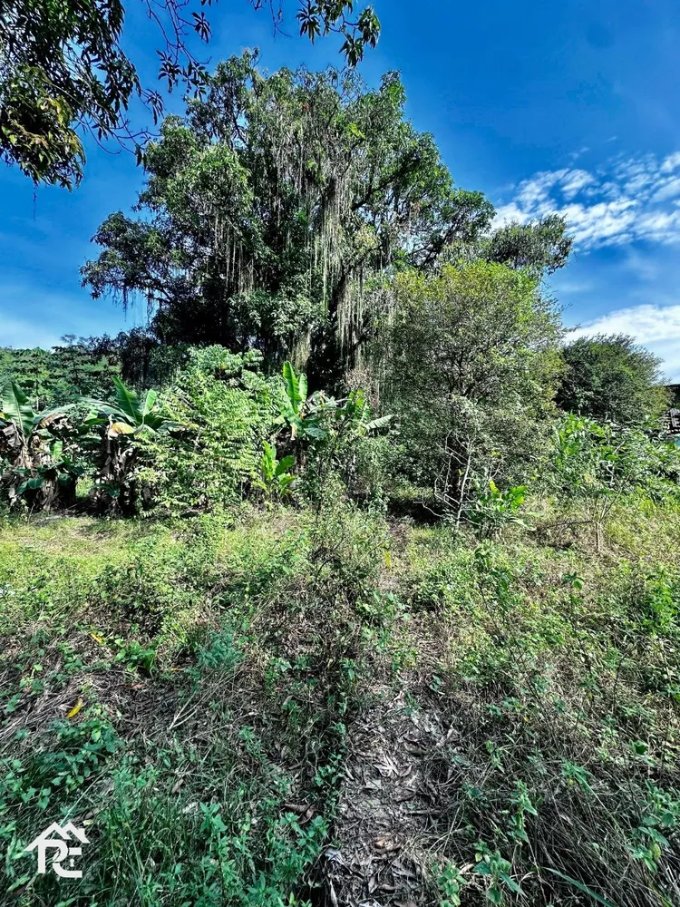 Terreno, 2632 m² - Foto 15