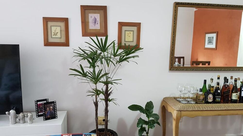 Apartamento, 2 quartos, 75 m² - Foto 5