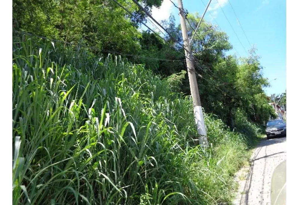 Terreno, 2000 m² - Foto 13