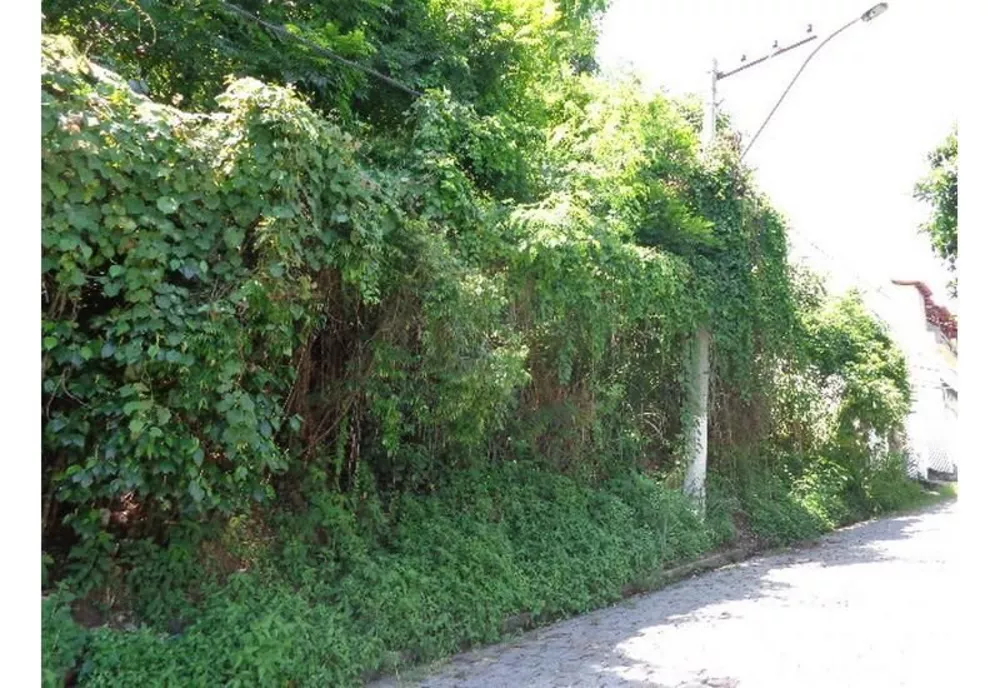 Terreno à venda, 2000 - Foto 4