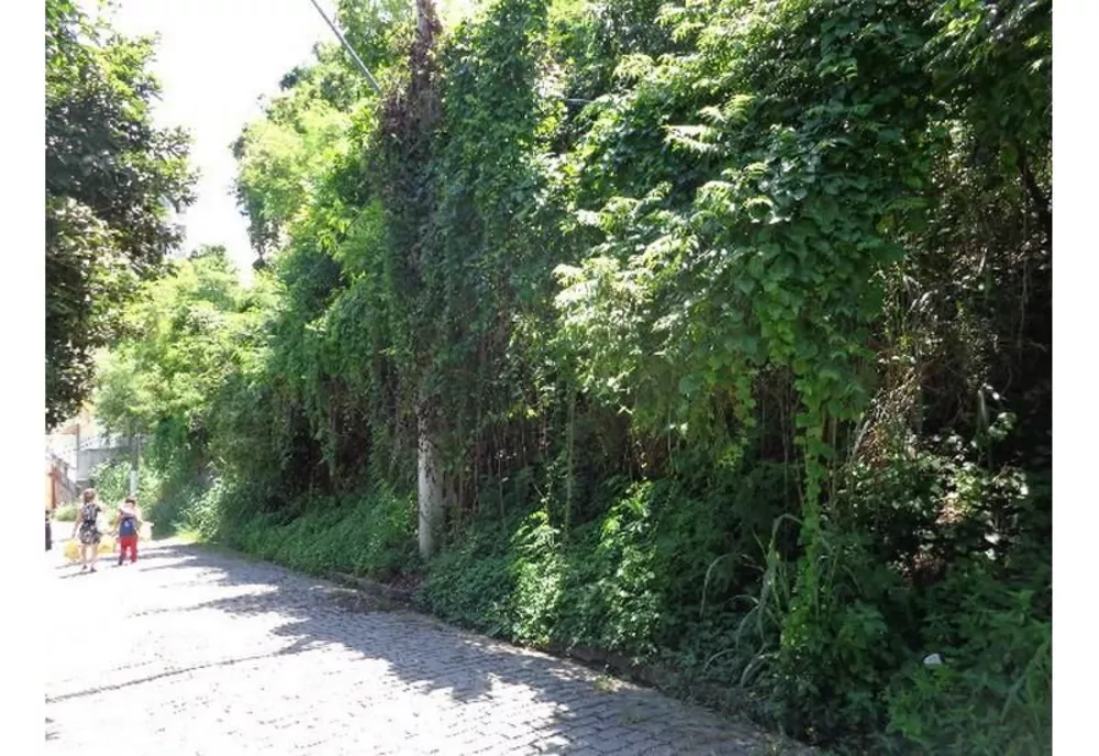 Terreno, 2000 m² - Foto 15