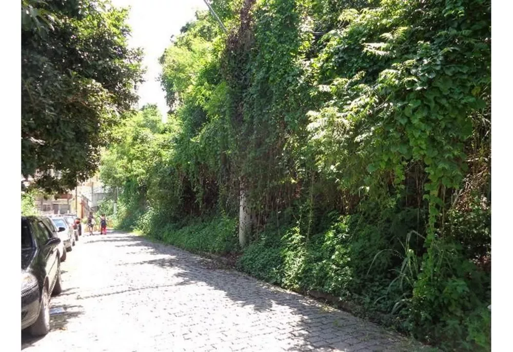 Terreno, 2000 m² - Foto 5