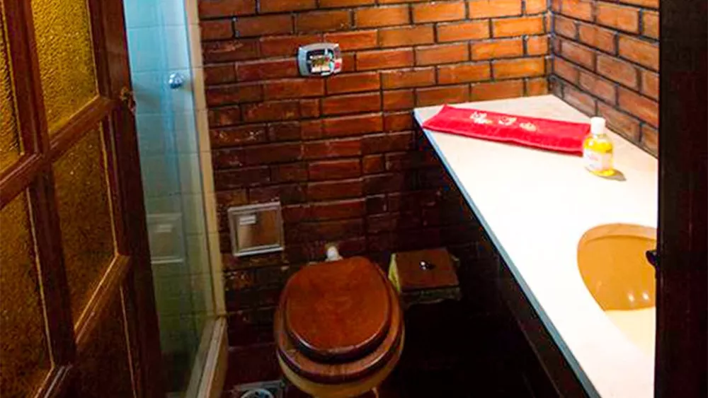 Chácara, 4 quartos, 5 hectares - Foto 16