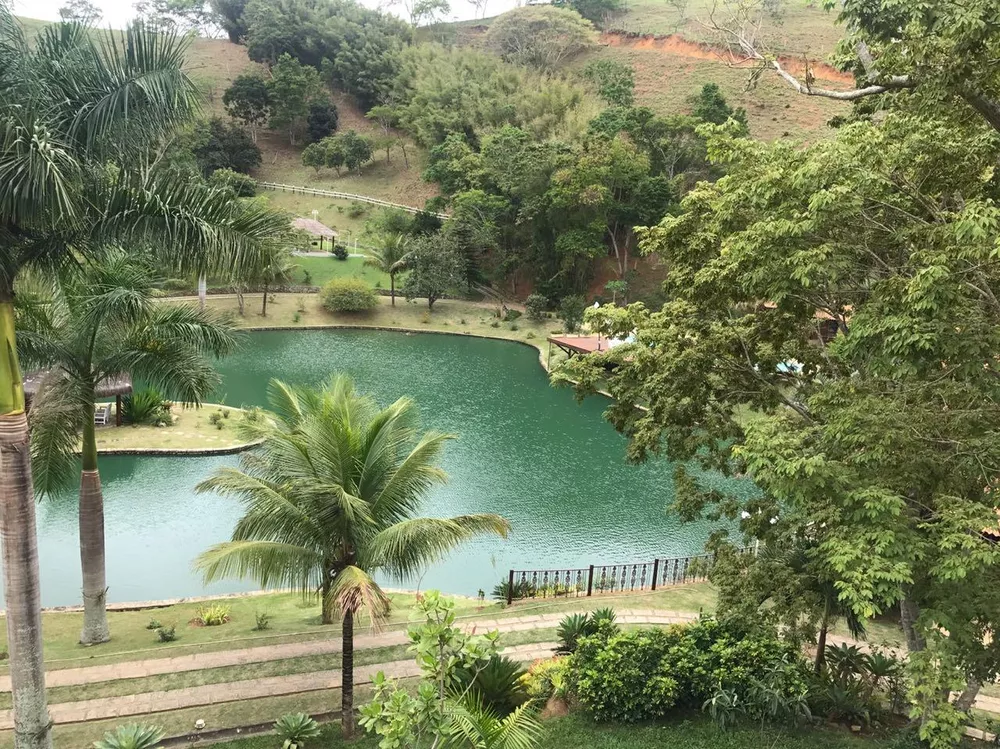 Fazenda, 53 hectares - Foto 42