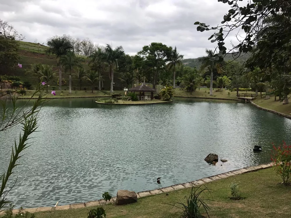 Fazenda, 53 hectares - Foto 12