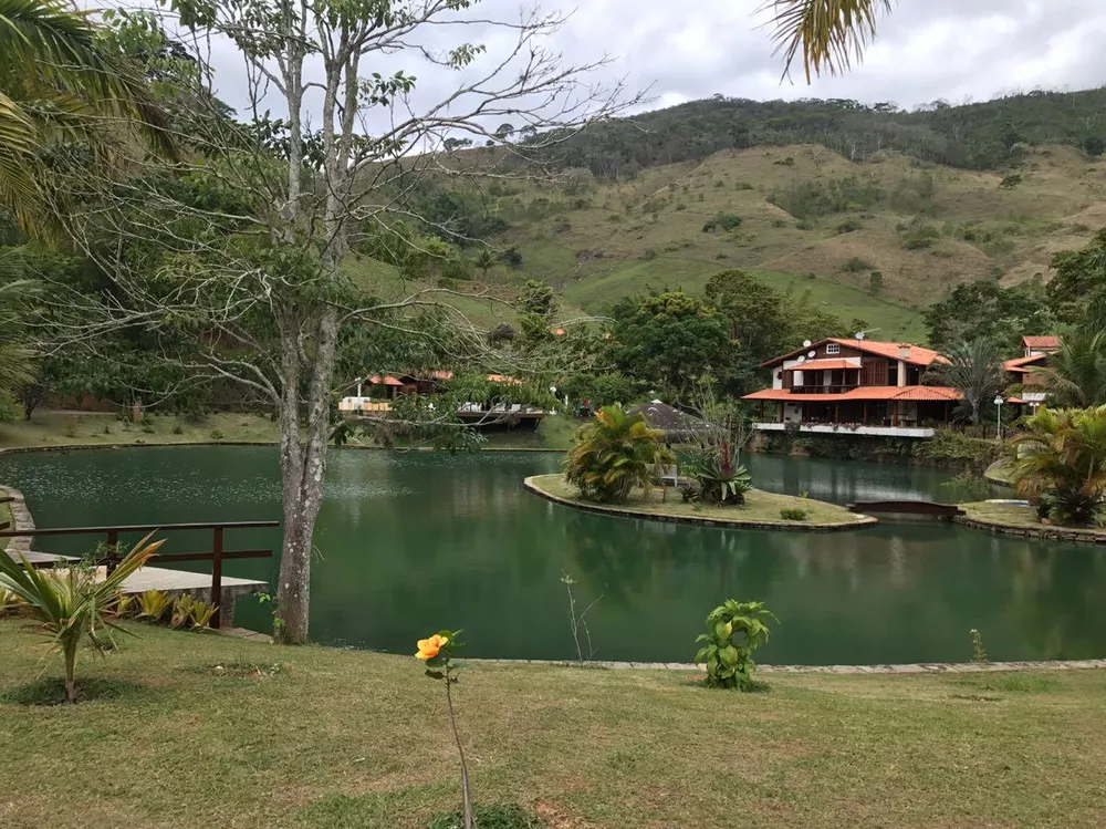 Fazenda, 53 hectares - Foto 39