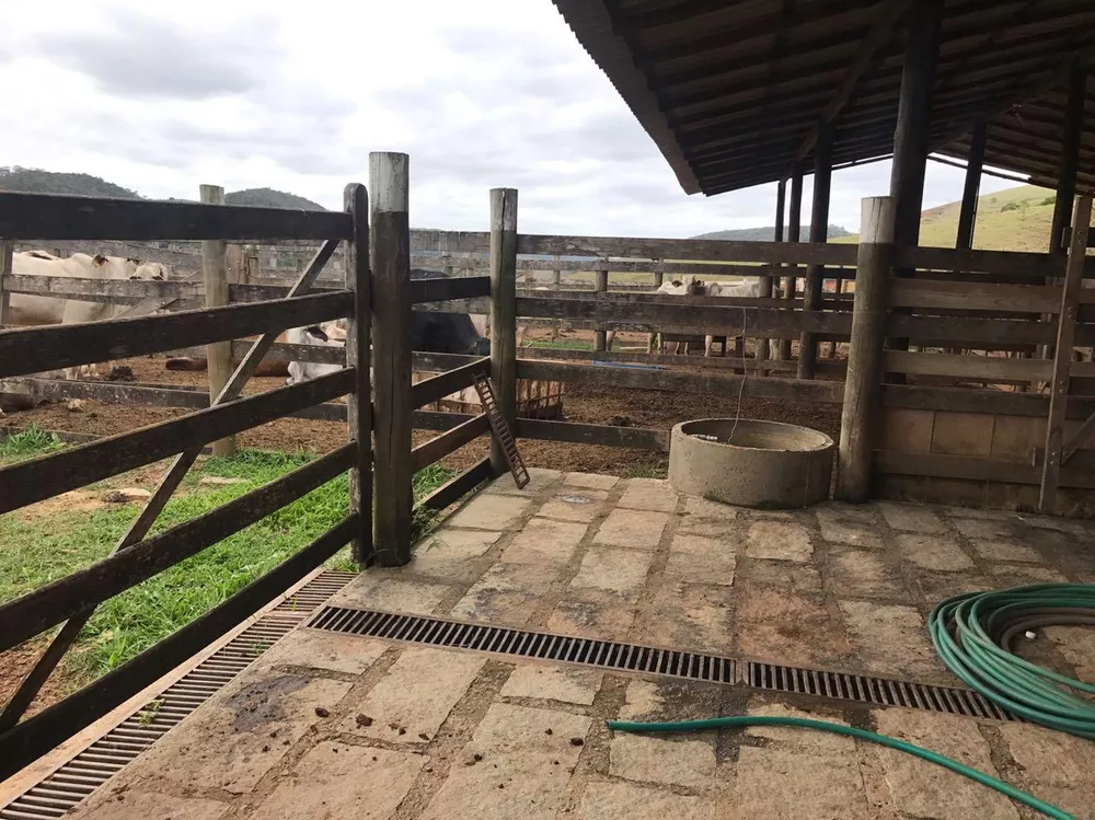 Fazenda, 53 hectares - Foto 6