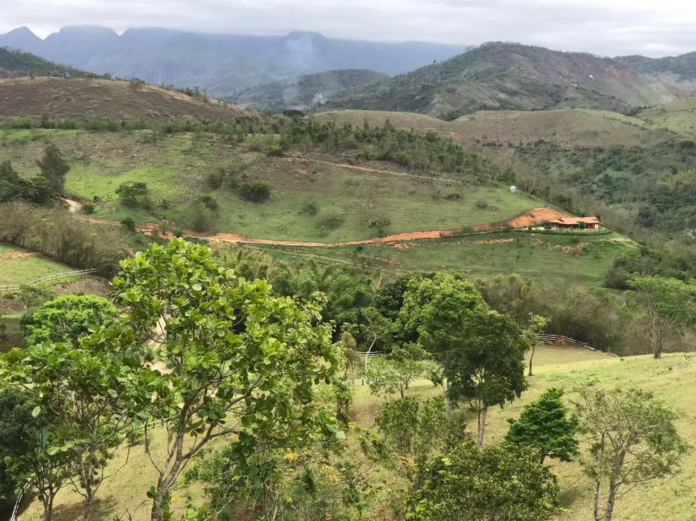 Fazenda, 53 hectares - Foto 7