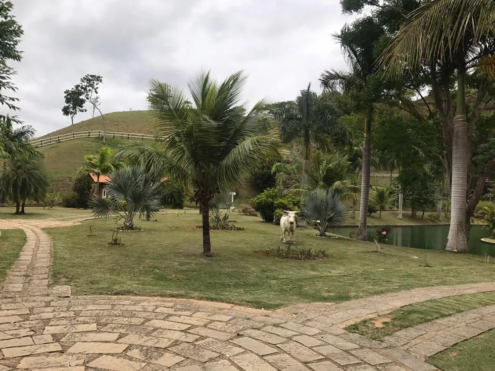 Fazenda, 53 hectares - Foto 5