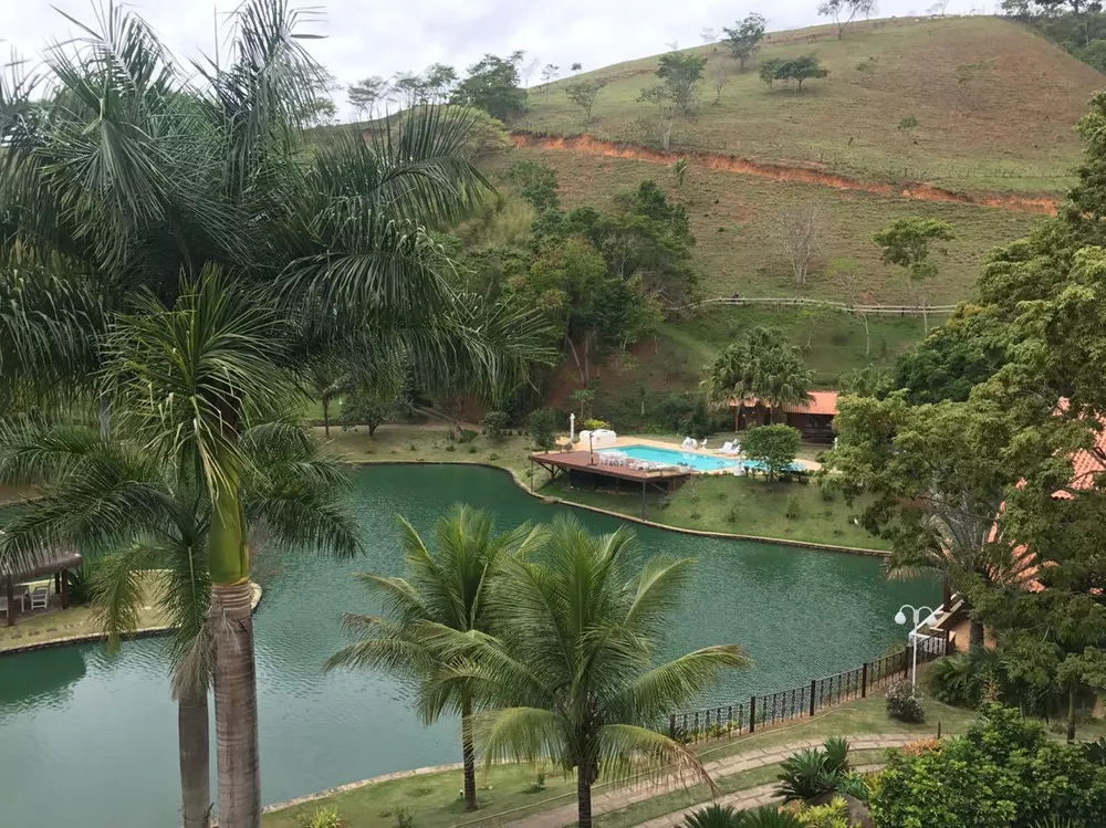 Fazenda, 53 hectares - Foto 43