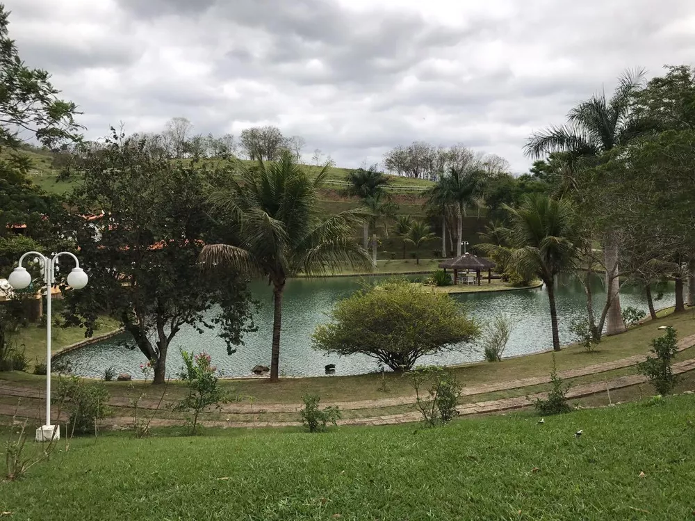 Fazenda, 53 hectares - Foto 33