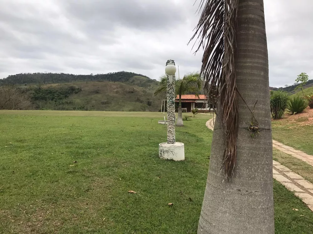Fazenda, 53 hectares - Foto 46
