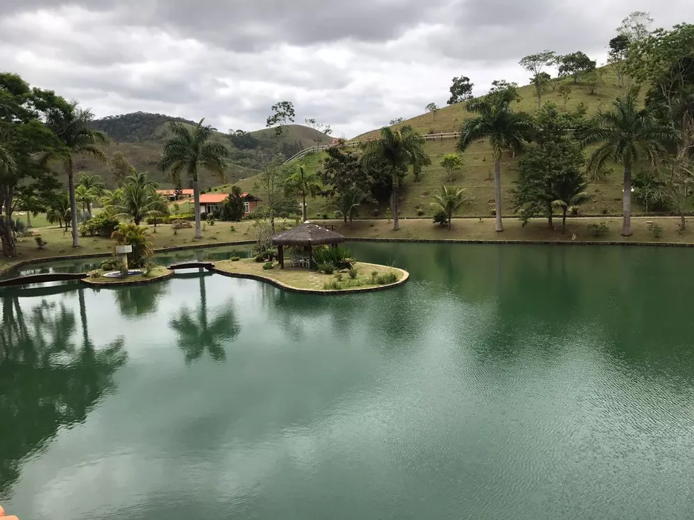 Fazenda, 53 hectares - Foto 13